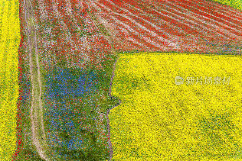 Piano Grande di Castelluccio(意大利)，绿色山丘上的村庄